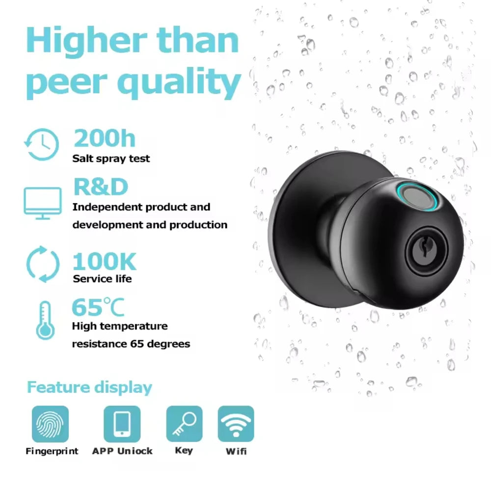 Smart Keyless Door Lock